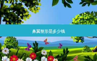 鼻翼整形是多少钱