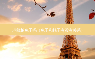 老鼠怕兔子吗（兔子和耗子有没有关系）