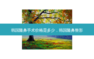 韩国隆鼻手术价格是多少，韩国隆鼻整形
