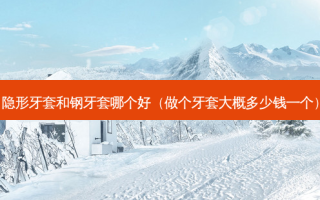 隐形牙套和钢牙套哪个好（做个牙套大概多少钱一个）