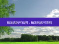植发真的可信吗，植发到底可靠吗
