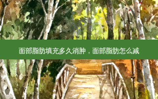 面部脂肪填充多久消肿，面部脂肪怎么减