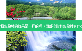 溶脂针跟瘦脸针的效果是一样的吗（面部溶脂和瘦脸针有什么区别）
