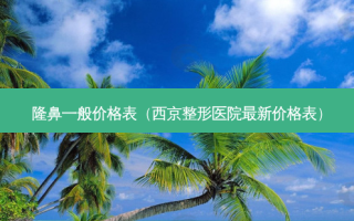 隆鼻一般价格表（西京整形医院最新价格表）