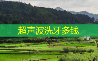 超声波洗牙多钱