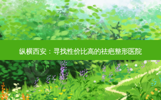 纵横西安：寻找性价比高的祛疤整形医院