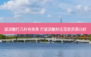 玻尿酸打几针有效果 打玻尿酸好还是胶原蛋白好