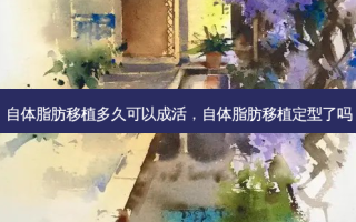 自体脂肪移植多久可以成活，自体脂肪移植定型了吗