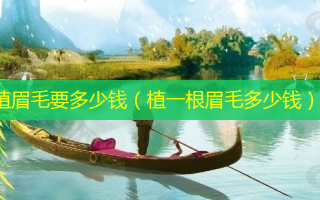 植眉毛要多少钱（植一根眉毛多少钱）