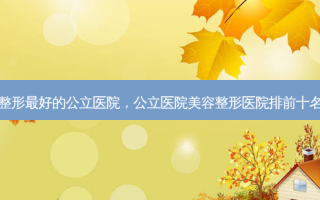 整形 *** 的公立医院，公立医院美容整形医院排前十名