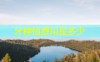 牙种植费用是多少