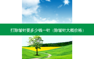 打除皱针要多少钱一针（除皱针大概价格）