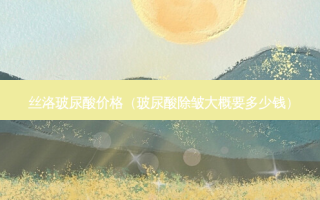 丝洛玻尿酸价格（玻尿酸除皱大概要多少钱）