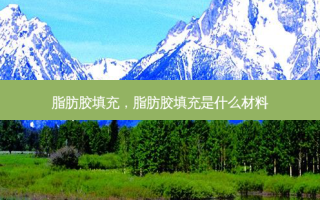脂肪胶填充，脂肪胶填充是什么材料