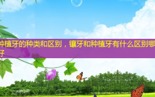 种植牙的种类和区别，镶牙和种植牙有什么区别哪个好