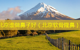 北京谁做鼻子好（北京软骨隆鼻）