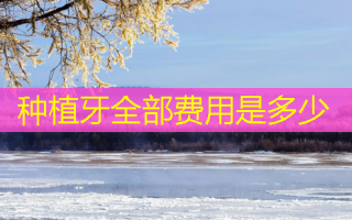 种植牙全部费用是多少