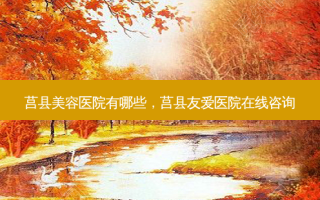 莒县美容医院有哪些，莒县友爱医院在线咨询