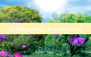 厦门隆鼻多少钱左右，厦门隆鼻手术多少钱