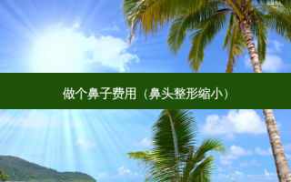 做个鼻子费用（鼻头整形缩小）