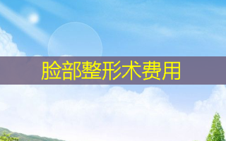 脸部整形术费用