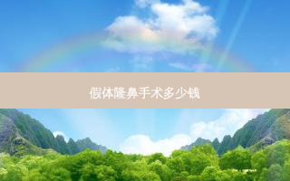 假体隆鼻手术多少钱
