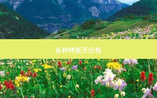 各种烤瓷牙价格