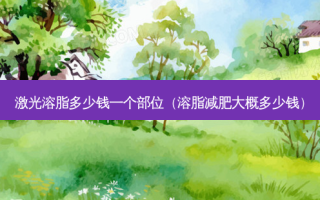 激光溶脂多少钱一个部位（溶脂减肥大概多少钱）