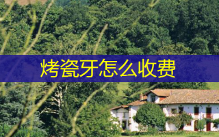 烤瓷牙怎么收费