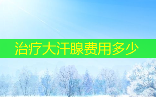 治疗大汗腺费用多少