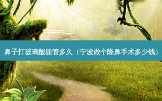 鼻子打玻璃酸能管多久（宁波做个隆鼻手术多少钱）