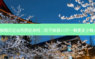 抽脂后还会再胖起来吗（肚子抽脂10斤一般要多少钱）