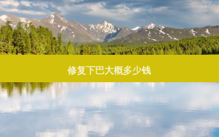修复下巴大概多少钱
