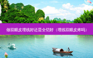 做双眼皮埋线好还是全切好（埋线双眼皮疼吗）