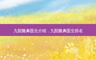 九院隆鼻医生介绍，九院隆鼻医生排名