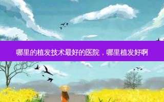 哪里的植发技术 *** 的医院，哪里植发好啊