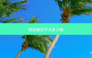 韩国整容手术多少钱