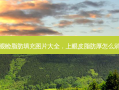 上眼睑脂肪填充图片大全，上眼皮脂肪厚怎么消除