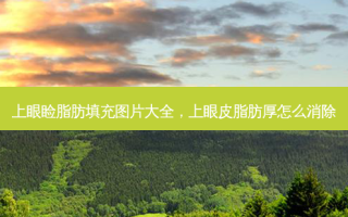 上眼睑脂肪填充图片大全，上眼皮脂肪厚怎么消除