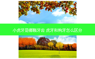 小虎牙是哪颗牙齿 虎牙和狗牙怎么区分