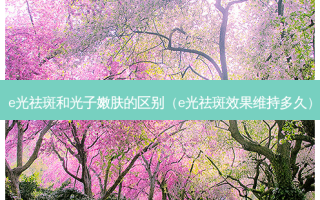 e光祛斑和光子嫩肤的区别（e光祛斑效果维持多久）