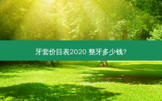 牙套价目表2020 整牙多少钱?