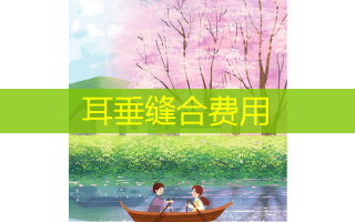 耳垂缝合费用