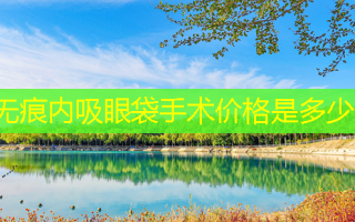 无痕内吸眼袋手术价格是多少