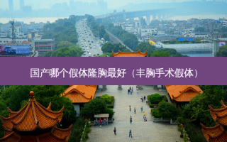 国产哪个假体隆胸 *** （丰胸手术假体）