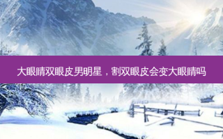 大眼睛双眼皮男明星，割双眼皮会变大眼睛吗
