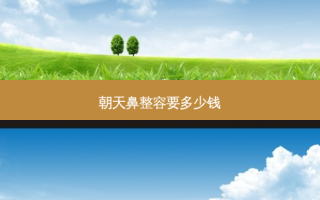 朝天鼻整容要多少钱