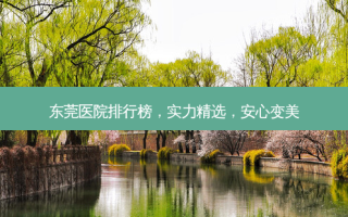 东莞医院排行榜，实力精选，安心变美