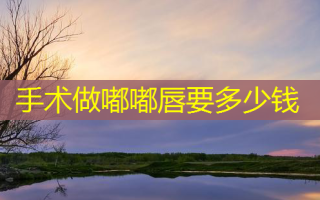 手术做嘟嘟唇要多少钱