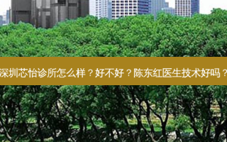 深圳芯怡诊所怎么样？好不好？陈东红医生技术好吗？